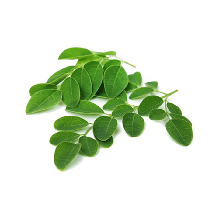 Normadex, parazitlere karşı güçlü bir doğal ilaç olan moringa yaprağı içerir
